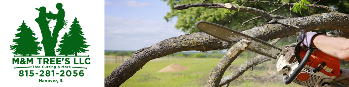 Case Study Header Banner - MM Trees LLC copy