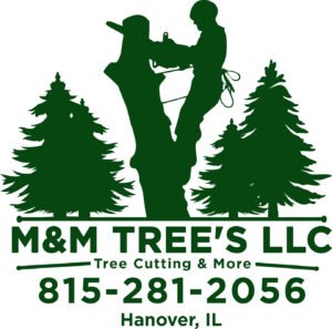 MM Trees LLC Logo (Green) JPEG